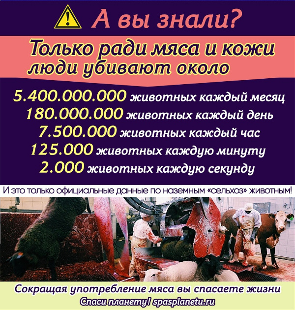 животные питание