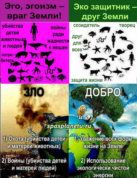 спаси планету. спас планету