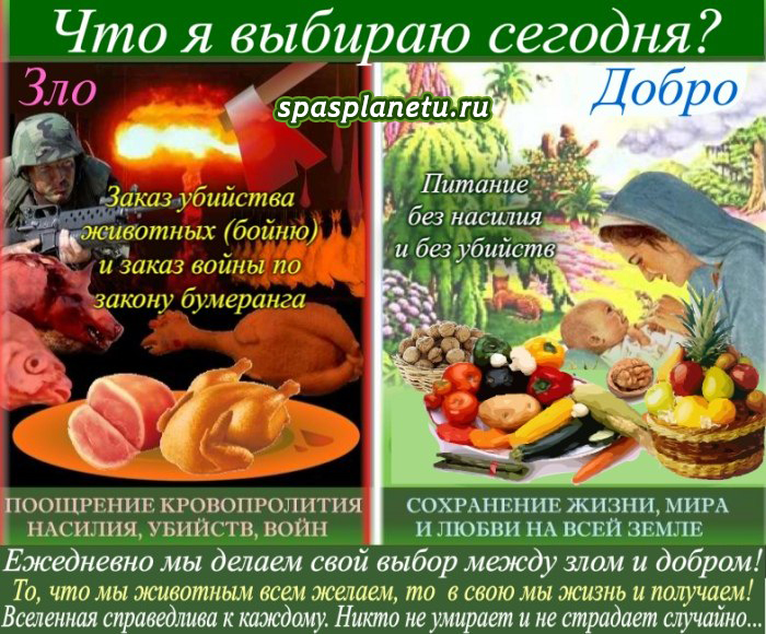 спасипланету, спаспланету, вред мяса