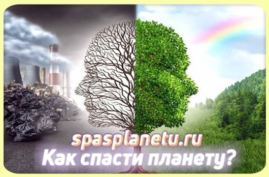 спасипланету, спаси планету